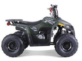 ATV TAO MOTORS THE MUDHAWK...