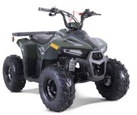 ATV TAO MOTORS THE MUDHAWK...