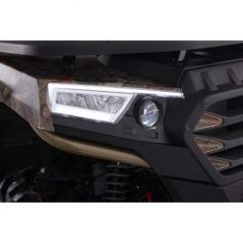 DENAGO - FREELANDER 300cc...