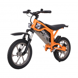 E-Dirt Bike, Fitz16 350 W...