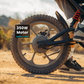 E-Dirt Bike, Fitz16 350 W...