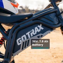 E-Dirt Bike, Fitz16 350 W...