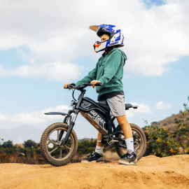E-Dirt Bike, Fitz16 350 W...