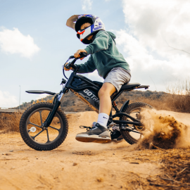 E-Dirt Bike, Fitz16 350 W...