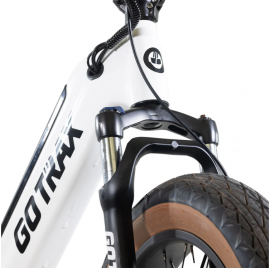 GOTRAX R6 500w 48v.-13.6Ah....