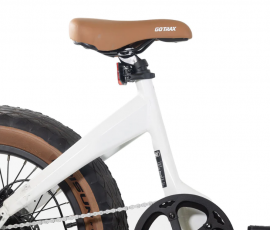 GOTRAX R6 500w 48v.-13.6Ah....