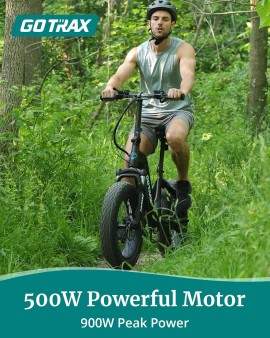 GOTRAX R6 500w 48v.-13.6Ah....