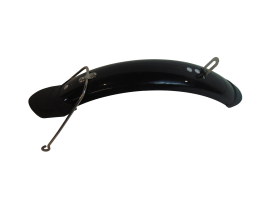 Front fender for electric...