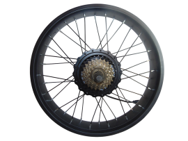 Moteur roue arrière pour vélo GOTRAX F3