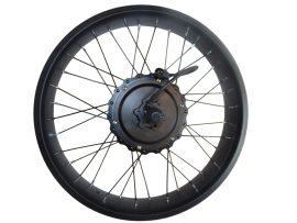 Rear wheel motor for bike...