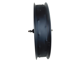 Jante avant 20x4 pour vélo GOTRAX F3