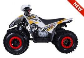 REX de Tao Motor -  Automatique 120cc - VTT à essence