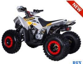 ATV TAO MOTORS THE REX...