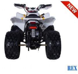 ATV TAO MOTORS THE REX...