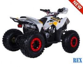 ATV TAO MOTORS THE REX...