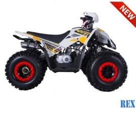 ATV TAO MOTORS THE REX...
