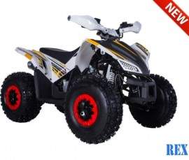 ATV TAO MOTORS THE REX...