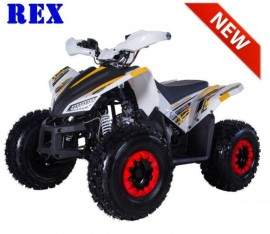 REX de Tao Motor -...