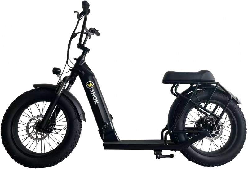 SHOK Fusion hiver 2x 48v...