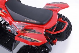 Denago TRAILHAWK 120cc EFI...