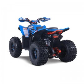 Denago TRAILHAWK 120cc EFI...