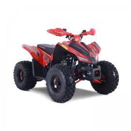 Denago TRAILHAWK 120cc EFI...