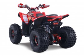 Denago TRAILHAWK 120cc EFI...