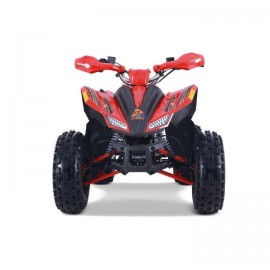 Denago TRAILHAWK 120cc EFI...