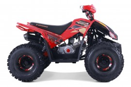Denago TRAILHAWK 120cc EFI...