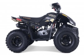 Denago TRAILHAWK 120cc EFI...