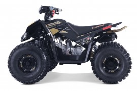 Denago TRAILHAWK 120cc EFI...