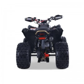Denago TRAILHAWK 120cc EFI...