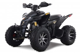 Denago DAYTONA 250cc EFI -...