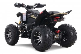 Denago DAYTONA 250cc EFI -...