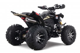 Denago DAYTONA 250cc EFI -...