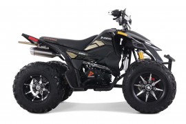 Denago DAYTONA 250cc EFI -...