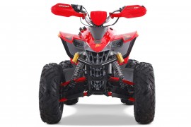 Denago DAYTONA 250cc EFI -...