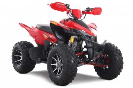 Denago DAYTONA 250cc EFI -...
