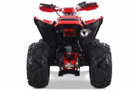 Denago DAYTONA 250cc EFI -...