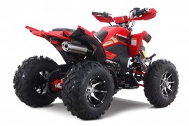 Denago DAYTONA 250cc EFI -...