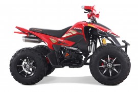 Denago DAYTONA 250cc EFI -...