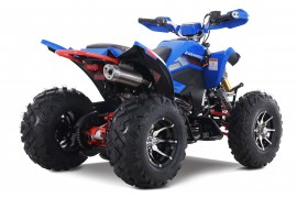 Denago DAYTONA 250cc EFI -...
