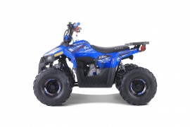 ATV TAO MOTORS THE MUDHAWK...