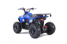ATV TAO MOTORS THE MUDHAWK...