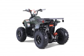ATV TAO MOTORS THE MUDHAWK...