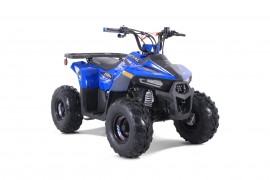 ATV TAO MOTORS THE MUDHAWK...