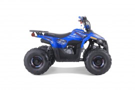 ATV TAO MOTORS THE MUDHAWK...