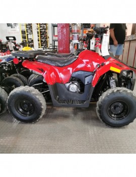 ATV TAO MOTORS THE MUDHAWK...