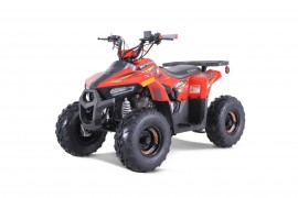 ATV TAO MOTORS THE MUDHAWK...