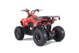 ATV TAO MOTORS THE MUDHAWK...